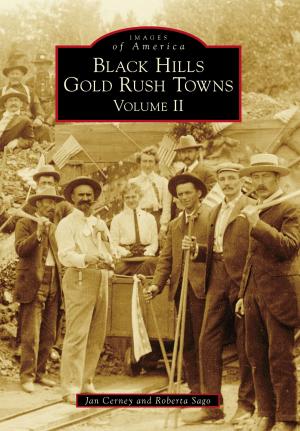 Cover of the book Black Hills Gold Rush Towns by Sandra Vincent Peavey, Terry Wantz Historical Research Center