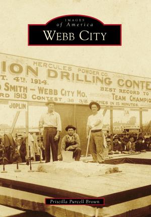 Cover of the book Webb City by James Jeffrey Tong, Dr. Susan Richardson, Hon. Steve Baker