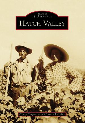 Book cover of Hatch Valley