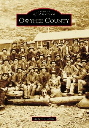 bigCover of the book Owyhee County by 