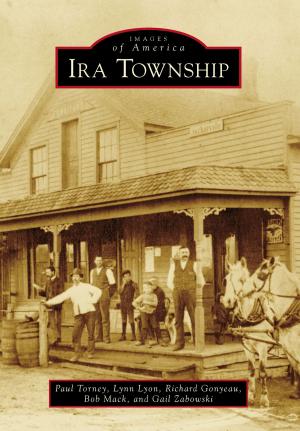 Cover of the book Ira Township by Brad Holden