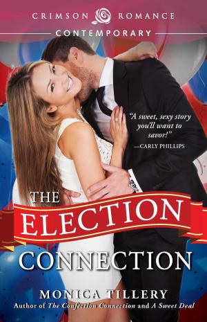 Cover of the book The Election Connection by Peggy Bird