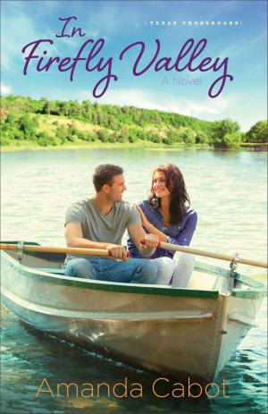 Cover of the book In Firefly Valley (Texas Crossroads Book #2) by Kim Vogel Sawyer