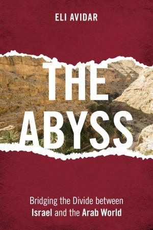 Cover of the book The Abyss by Gerard Giordano, PhD, professor of education, University of North Florida