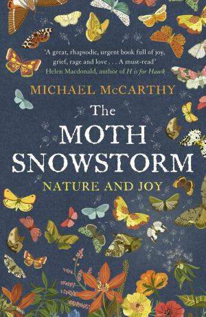 Cover of the book The Moth Snowstorm by Josephine Wilkinson