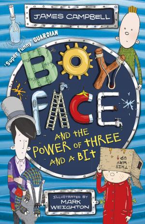 Cover of the book Boyface and the Power of Three and a Bit by Tatum Flynn