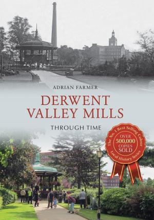 Cover of the book Derwent Valley Mills Through Time by Stephen Sellick