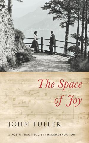 Cover of the book The Space of Joy by Norman Crane