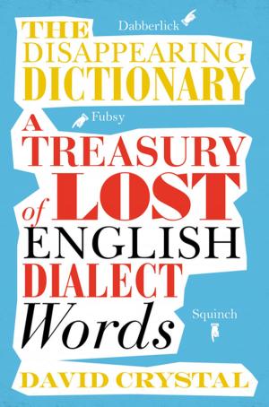Cover of the book The Disappearing Dictionary by David Hadley