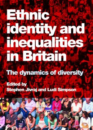 Cover of the book Ethnic identity and inequalities in Britain by 
