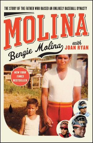 Cover of the book Molina by Brando Skyhorse