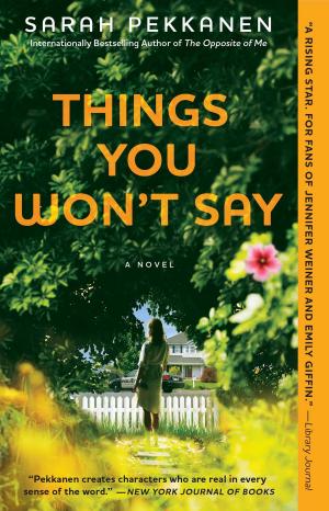 Cover of the book Things You Won't Say by Sarah Pekkanen