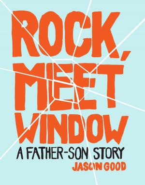 Cover of the book Rock, Meet Window by Mark Frauenfelder
