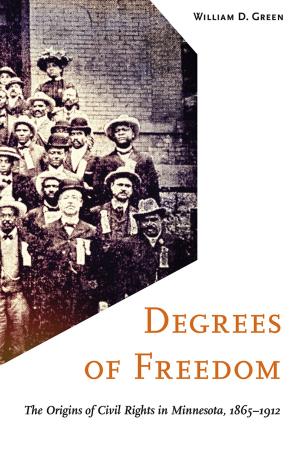 Cover of the book Degrees of Freedom by Peter Y. Paik