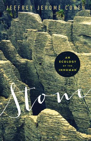 Cover of the book Stone by John David Rhodes