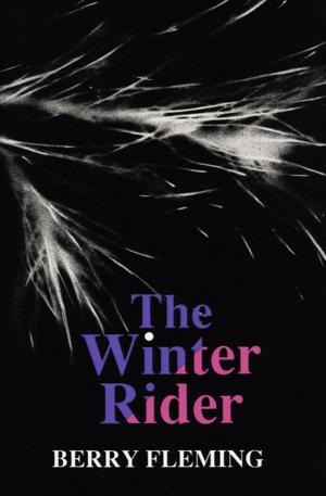 Cover of the book The Winter Rider by Rob Levandoski
