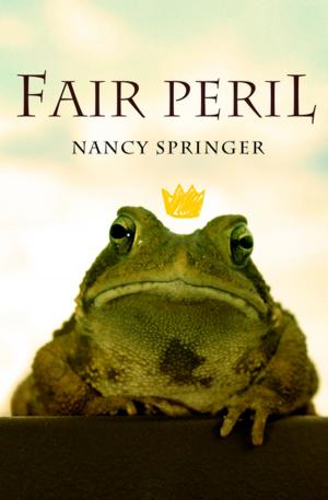 Cover of the book Fair Peril by Aonghus Fallon