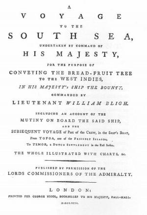Book cover of A Voyage to the South Sea (Illustrated)