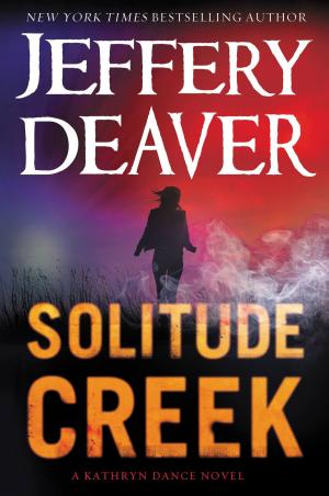 Book cover of Solitude Creek