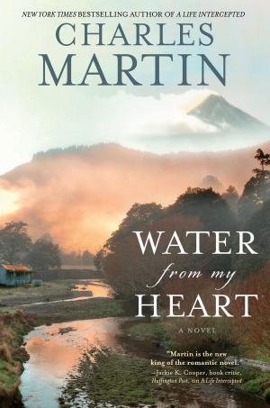 Cover of the book Water from My Heart by B.A. Wolfe