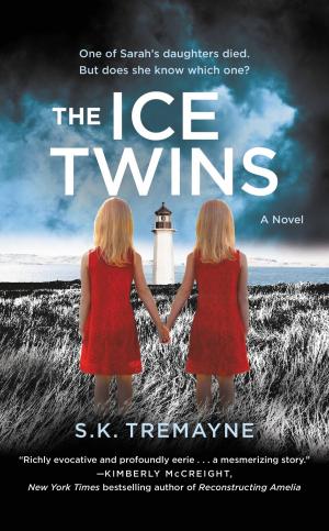 Cover of the book The Ice Twins by Emily Kaiser Thelin, Toni Tajima