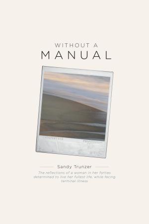 Cover of the book Without a Manual by Terezia M. Farkas