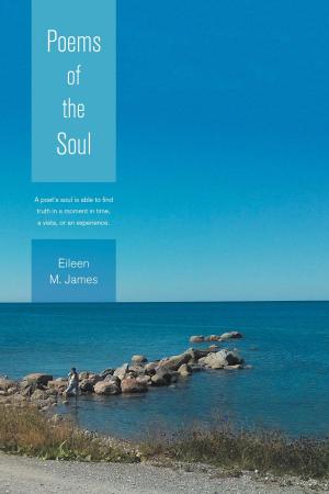 Cover of the book Poems of the Soul by CC Stang