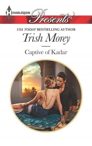 Cover of the book Captive of Kadar by Jillian Stone