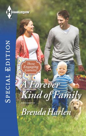 bigCover of the book A Forever Kind of Family by 