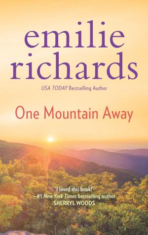 Cover of the book One Mountain Away by Brianna Michelle