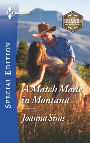 Cover of the book A Match Made in Montana by Nikki Logan