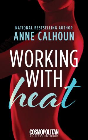 Cover of the book Working With Heat by Christopher Buecheler