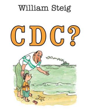 Cover of the book C D C ? by David Ferry