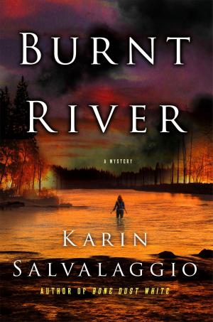 Book cover of Burnt River