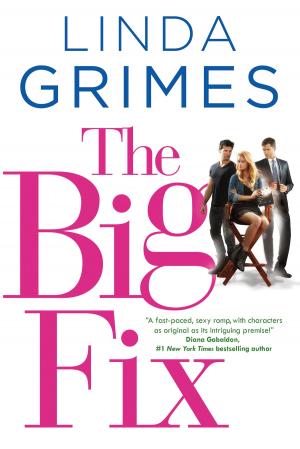 Cover of the book The Big Fix by Amber Garr