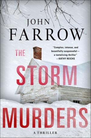 Cover of the book The Storm Murders by Jonathan Maberry