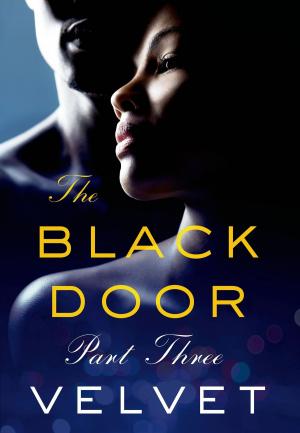 Cover of the book The Black Door: Part 3 by Angelika Alvarez