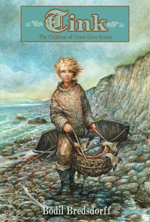Cover of the book Tink by David Klass
