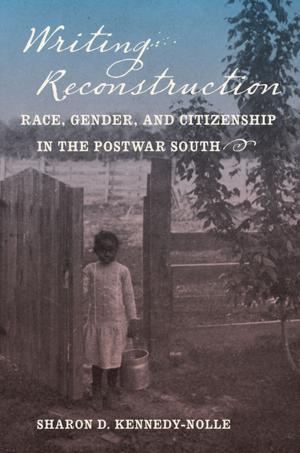 Cover of the book Writing Reconstruction by Miles Orvell