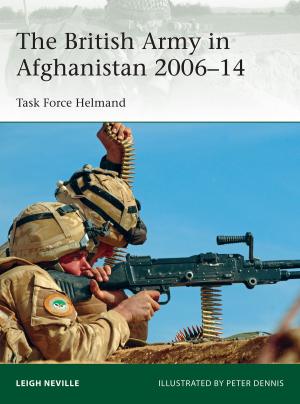 Cover of the book The British Army in Afghanistan 2006–14 by Professor David Ian Rabey