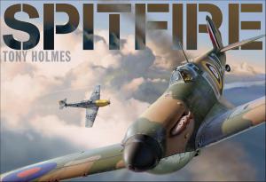 Cover of the book Spitfire by Anna Beckers