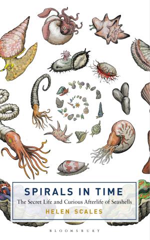 Cover of the book Spirals in Time by Tom de Freston, Kiran Millwood Hargrave