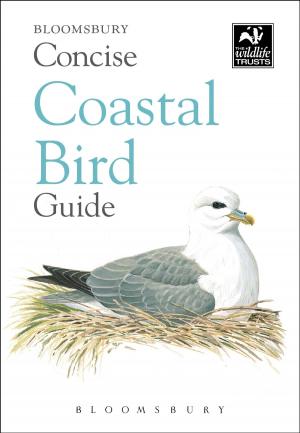 Book cover of Concise Coastal Bird Guide