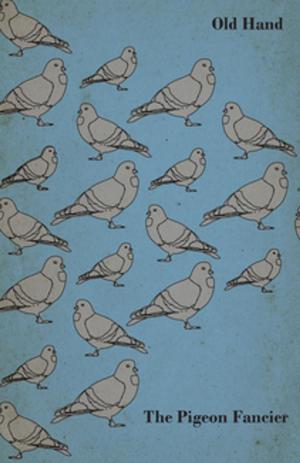 Cover of the book The Pigeon Fancier by Robert Litt, Hannah Litt