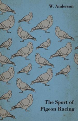 Cover of the book The Sport of Pigeon Racing by George M. L. La Branche