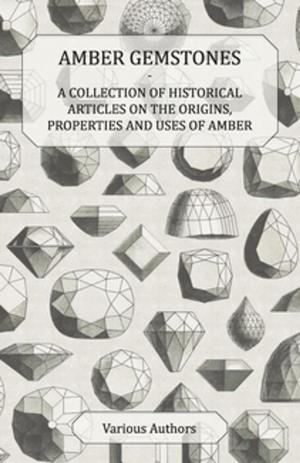 Cover of the book Amber Gemstones - A Collection of Historical Articles on the Origins, Properties and Uses of Amber by A. Wigfall Green
