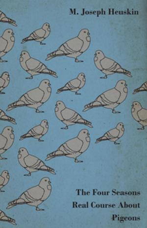 bigCover of the book The Four Seasons Real Course About Pigeons by 