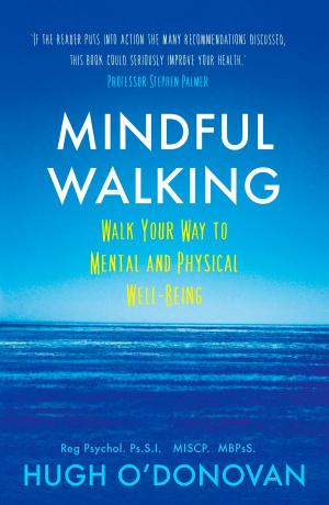 Cover of the book Mindful Walking by Conor Bowman