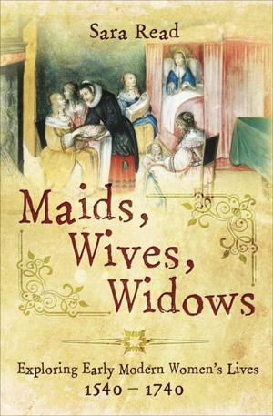Cover of the book Maids, Wives, Widows by Mark Aston