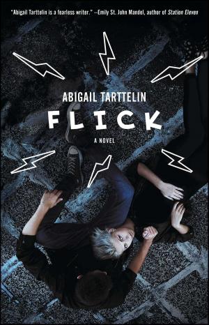 Cover of the book Flick by Eva Scrivo